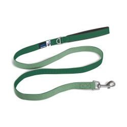 Laisse Basic SE 2020 – Pine